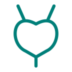 bladder service icon