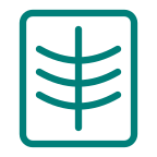 xray service icon